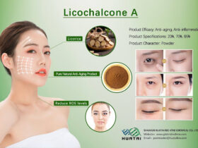 Dual-Action Soothing Mastery: Licochalcone A and Dipotassium Glycyrrhizinate