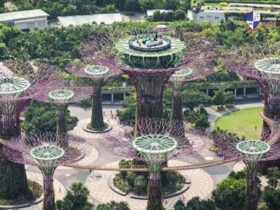 Everything You Need to Know About Designing, Building and Maintaining Strong and Durable Outdoor Landscape Stability Structures