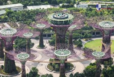 Everything You Need to Know About Designing, Building and Maintaining Strong and Durable Outdoor Landscape Stability Structures